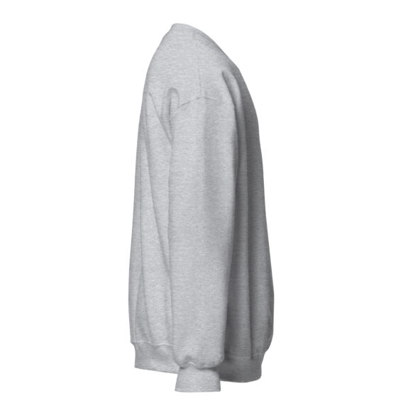 Sweat femme à Col Rond PTS GTI